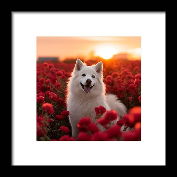 Petals and Paws - Framed Print