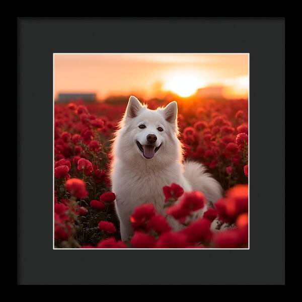 Petals and Paws - Framed Print
