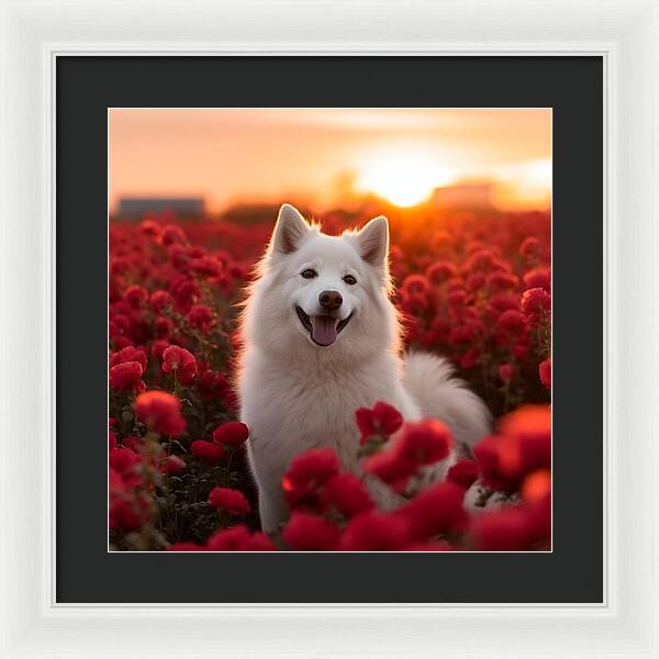 Petals and Paws - Framed Print