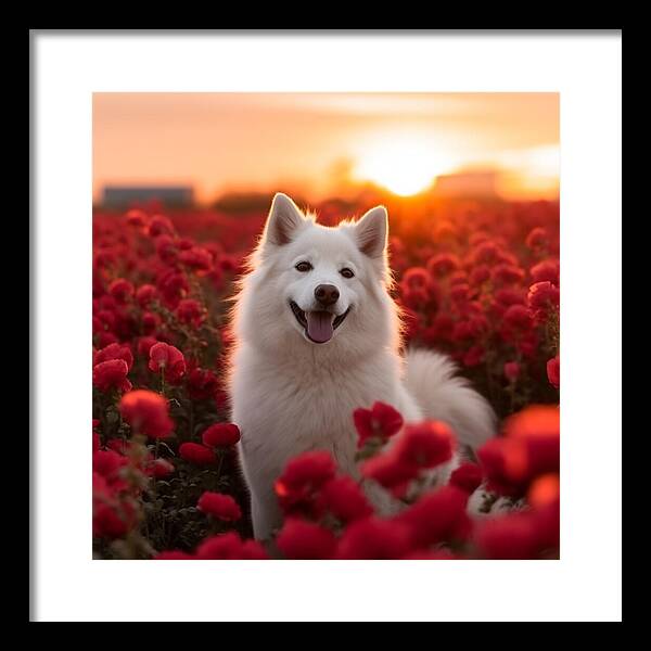 Petals and Paws - Framed Print