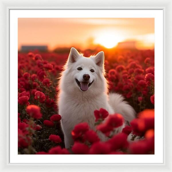 Petals and Paws - Framed Print