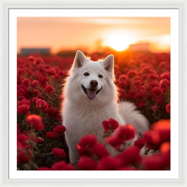 Petals and Paws - Framed Print