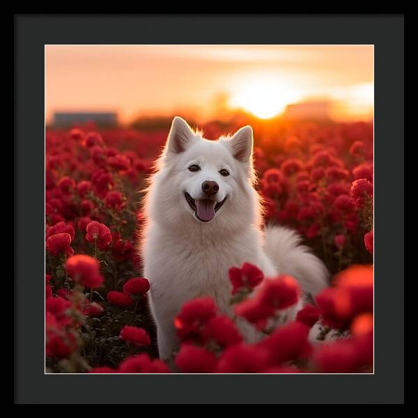 Petals and Paws - Framed Print