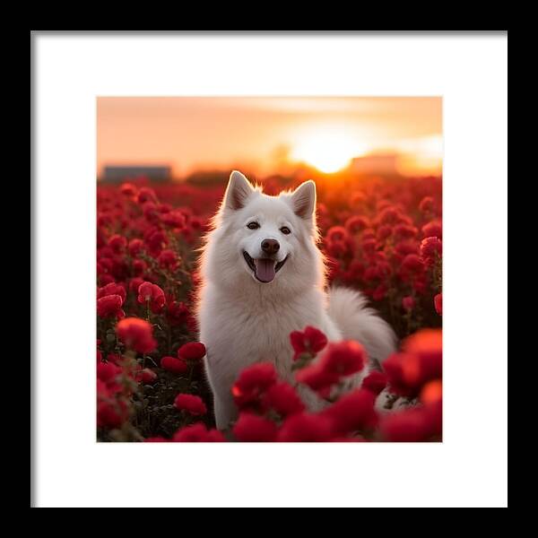Petals and Paws - Framed Print