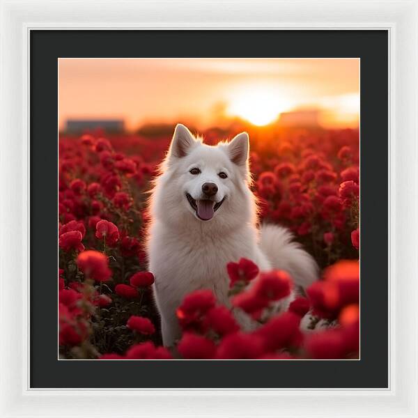 Petals and Paws - Framed Print
