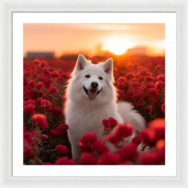 Petals and Paws - Framed Print