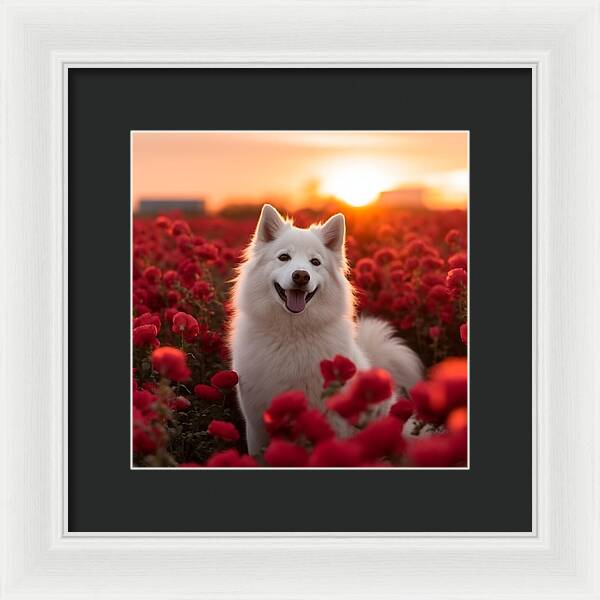 Petals and Paws - Framed Print