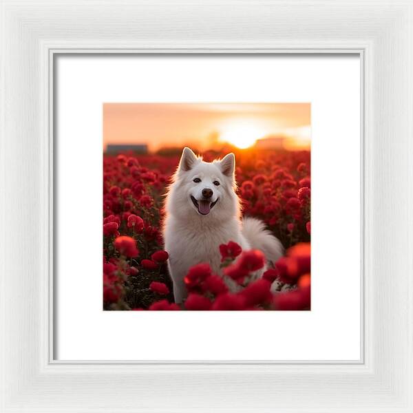 Petals and Paws - Framed Print