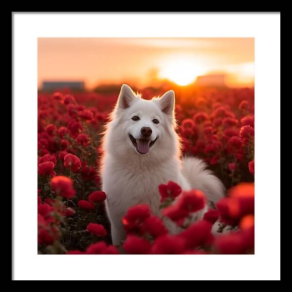 Petals and Paws - Framed Print