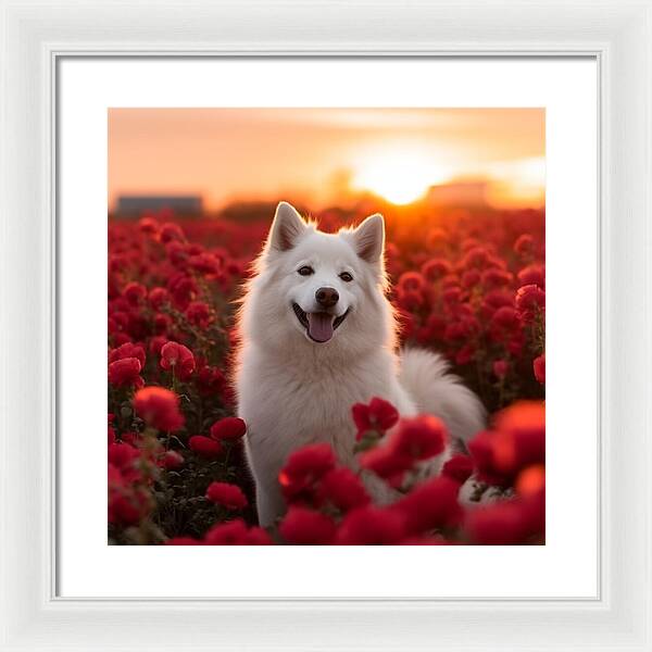 Petals and Paws - Framed Print