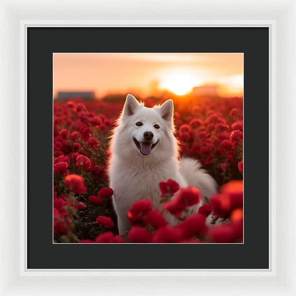 Petals and Paws - Framed Print