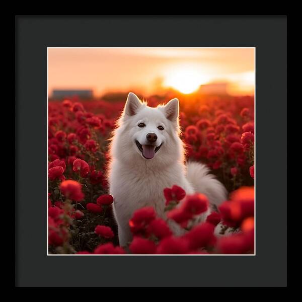Petals and Paws - Framed Print
