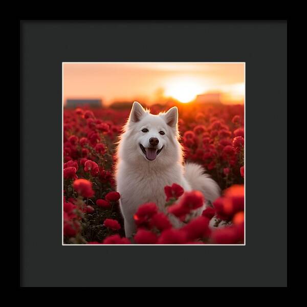 Petals and Paws - Framed Print