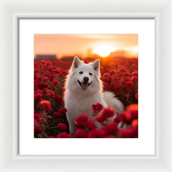 Petals and Paws - Framed Print