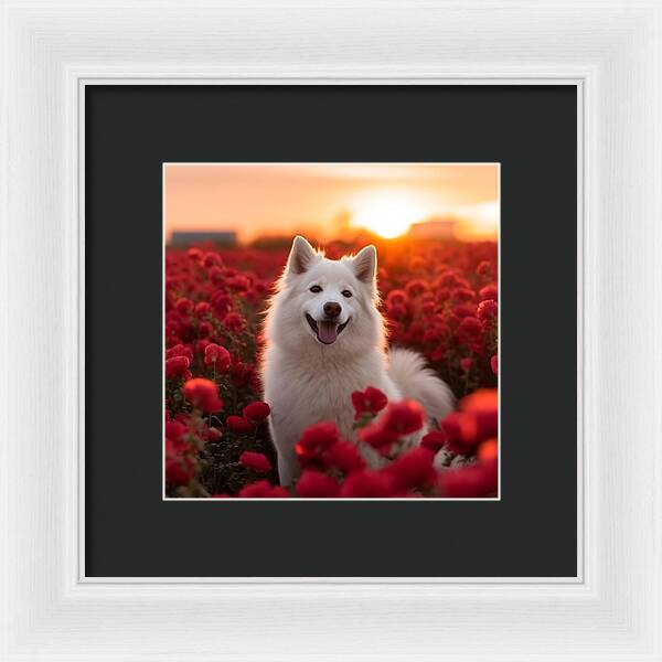 Petals and Paws - Framed Print