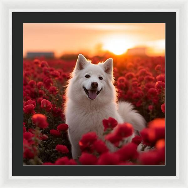 Petals and Paws - Framed Print