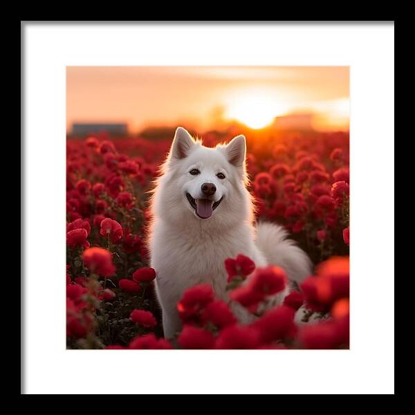 Petals and Paws - Framed Print