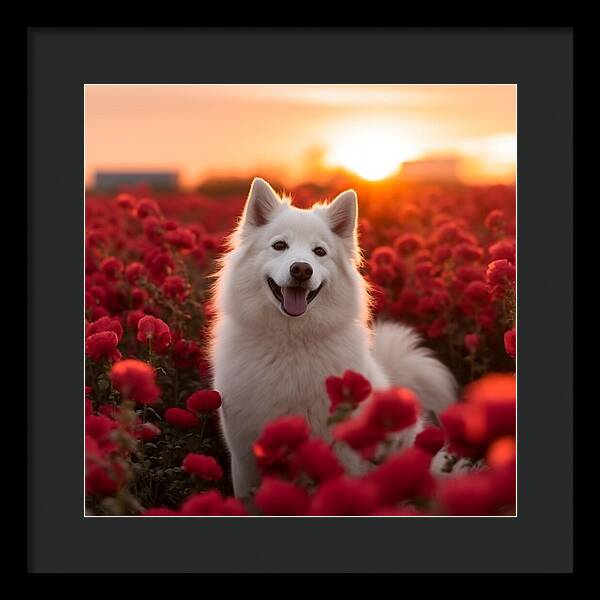 Petals and Paws - Framed Print