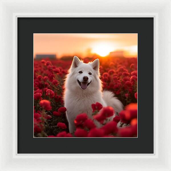 Petals and Paws - Framed Print