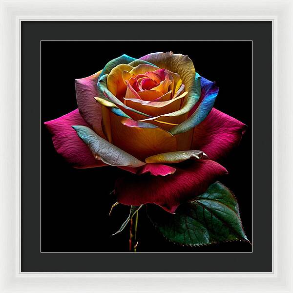 Rainbow Petals - Framed Print