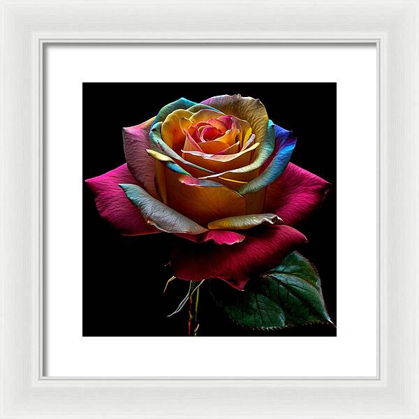 Rainbow Petals - Framed Print