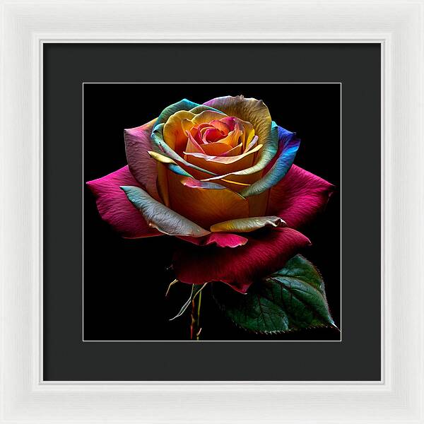 Rainbow Petals - Framed Print