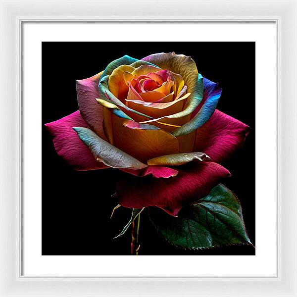 Rainbow Petals - Framed Print