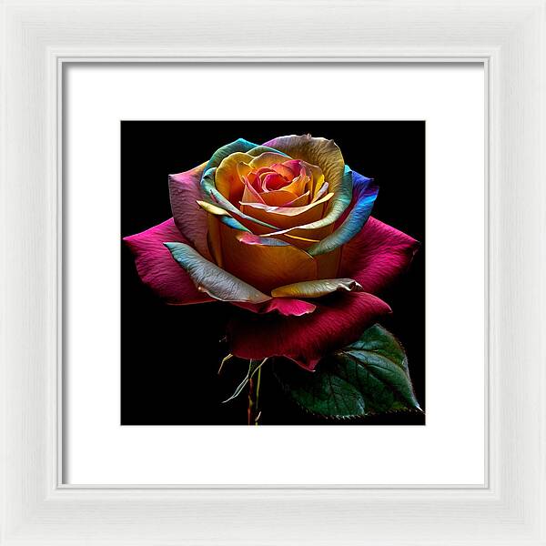 Rainbow Petals - Framed Print