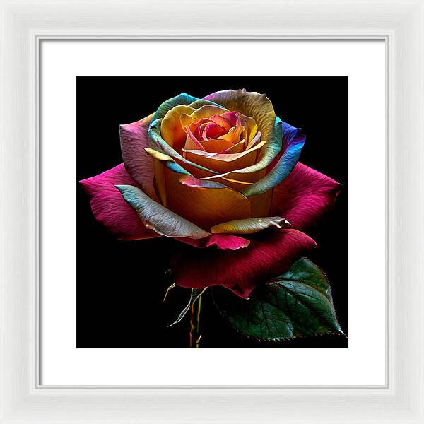 Rainbow Petals - Framed Print