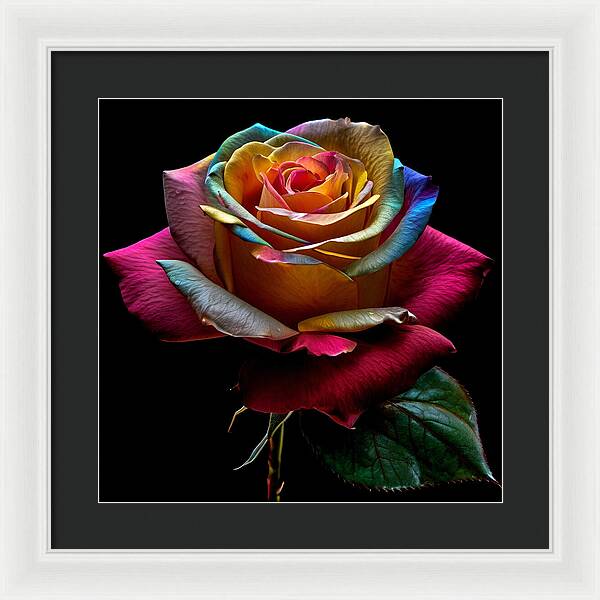 Rainbow Petals - Framed Print