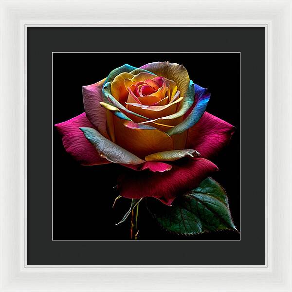 Rainbow Petals - Framed Print