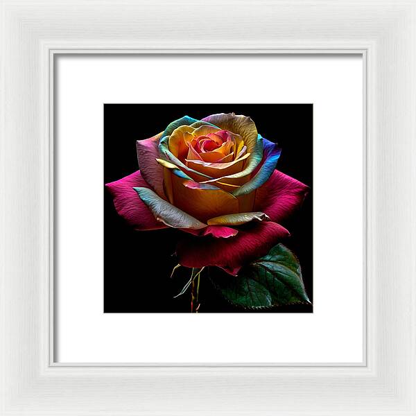 Rainbow Petals - Framed Print