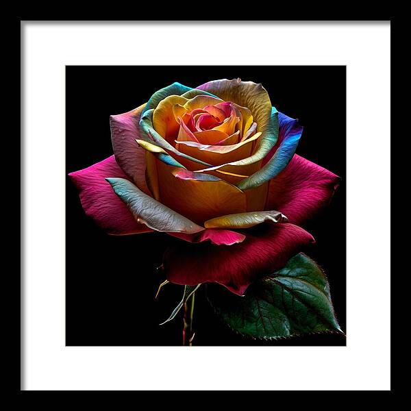 Rainbow Petals - Framed Print
