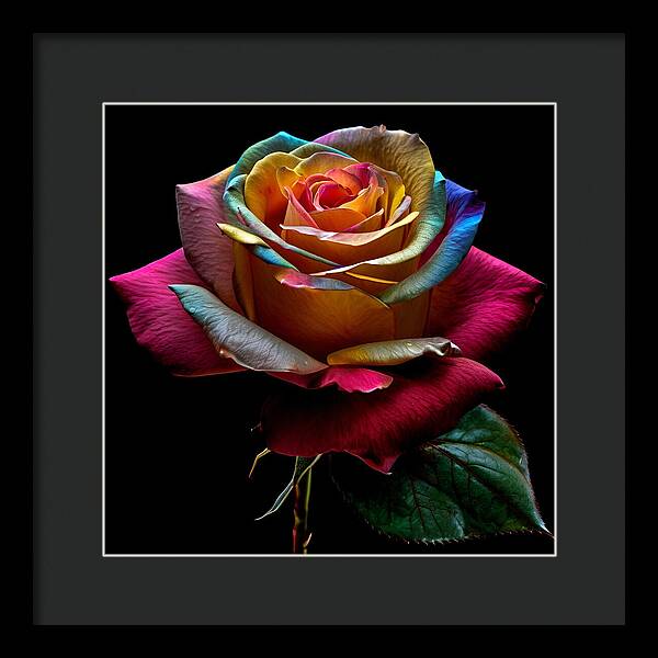 Rainbow Petals - Framed Print