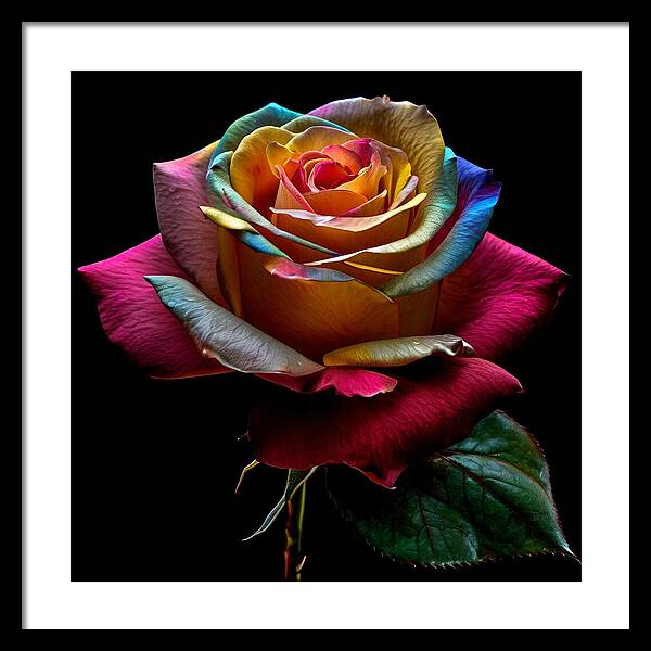 Rainbow Petals - Framed Print