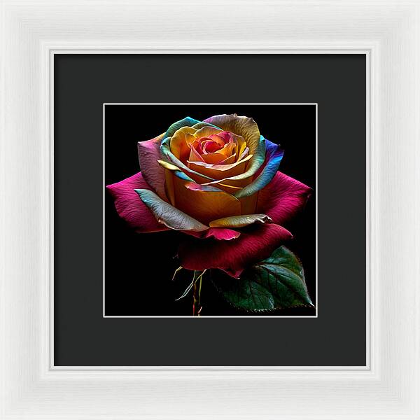 Rainbow Petals - Framed Print