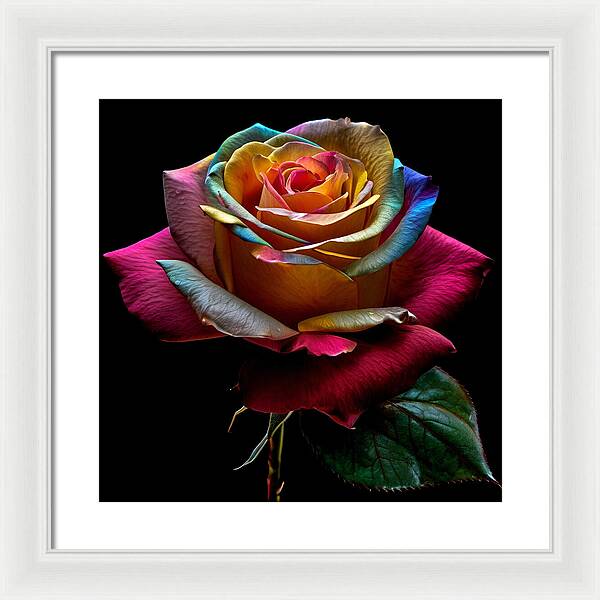 Rainbow Petals - Framed Print