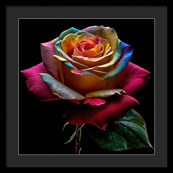 Rainbow Petals - Framed Print