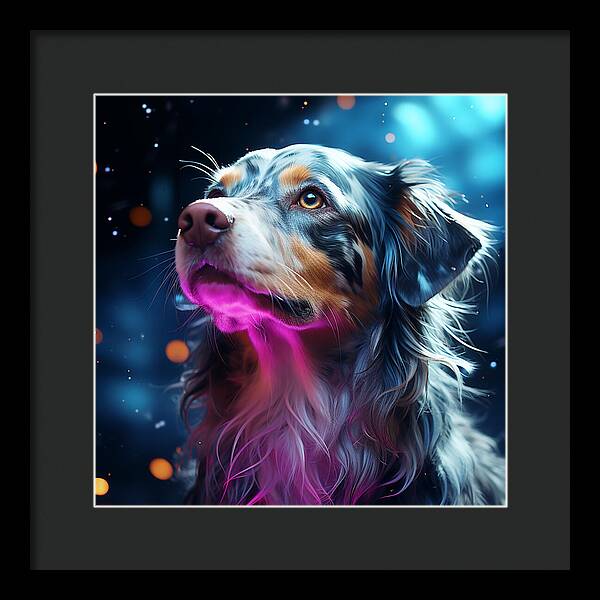 Ruff Radiance - Framed Print