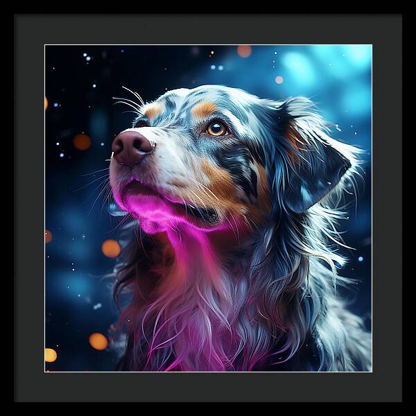 Ruff Radiance - Framed Print