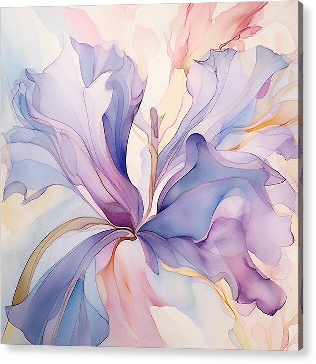 Silk Pedals - Acrylic Print