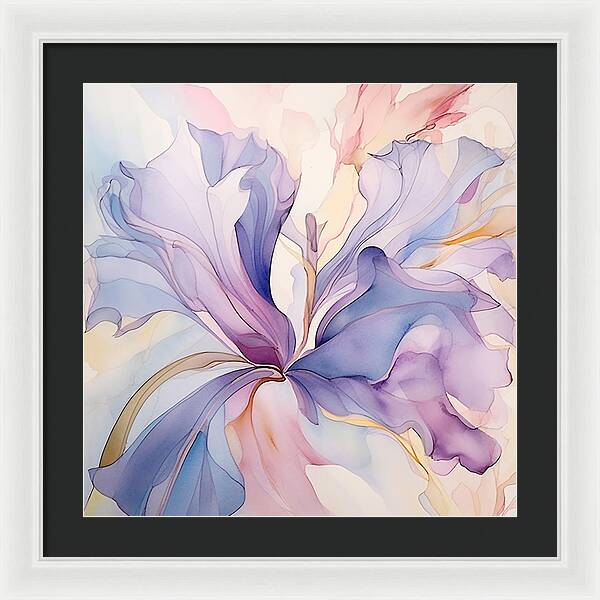 Silk Pedals - Framed Print