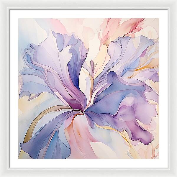 Silk Pedals - Framed Print