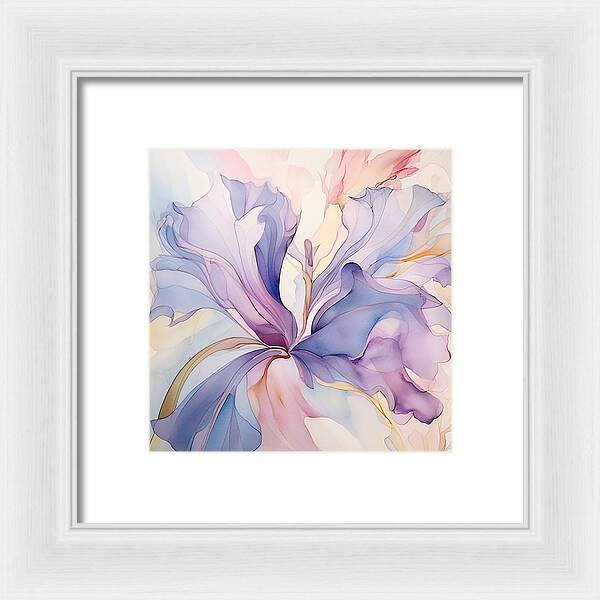 Silk Pedals - Framed Print