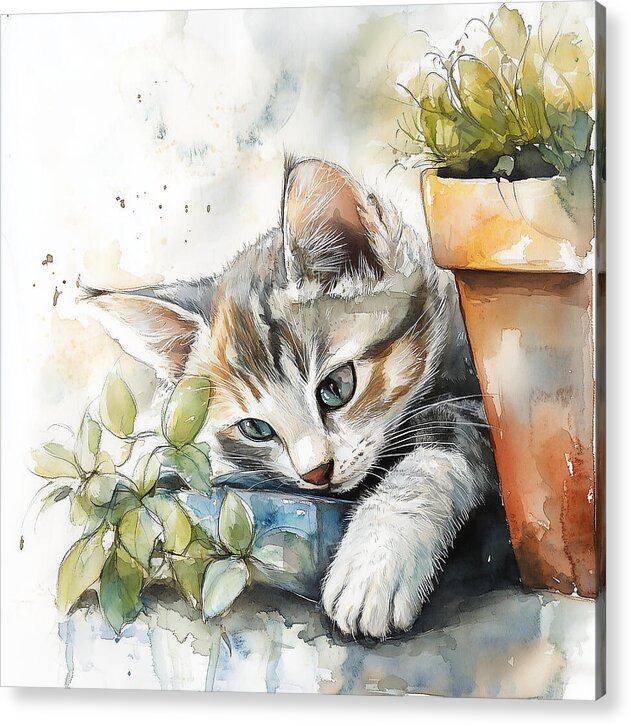 Tender Greens - Acrylic Print