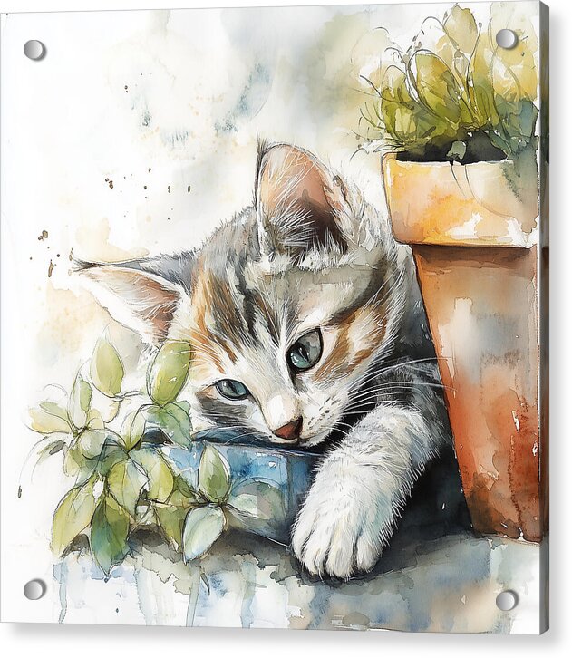 Tender Greens - Acrylic Print