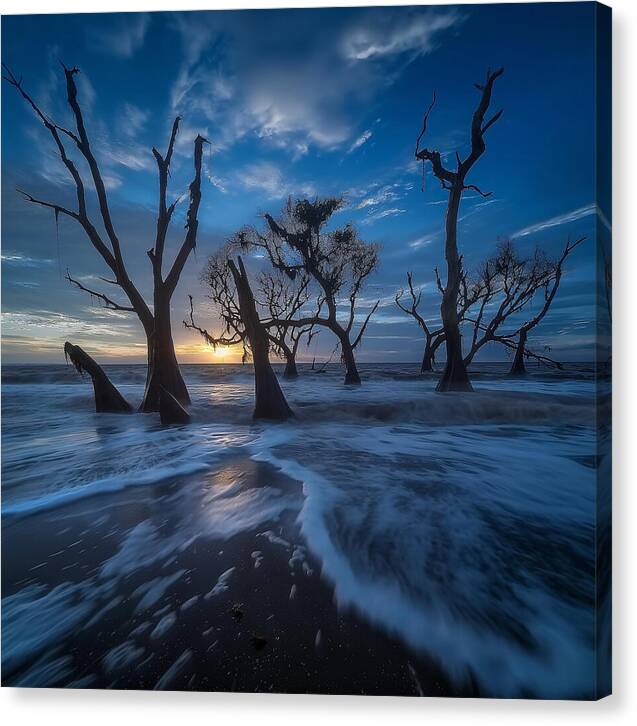The Forgotten Shore - Canvas Print