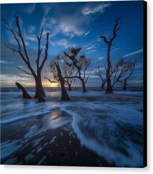 The Forgotten Shore - Canvas Print