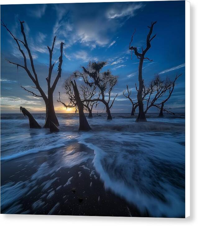 The Forgotten Shore - Canvas Print