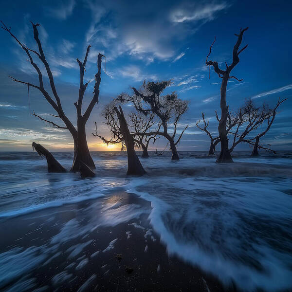 The Forgotten Shore - Art Print